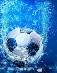 体育媒体数据支持